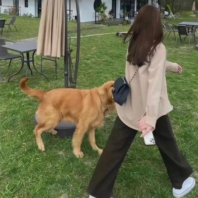 山羊和狼